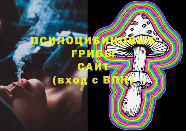 ешки Горнозаводск