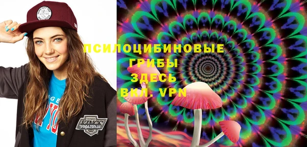 ешки Горнозаводск