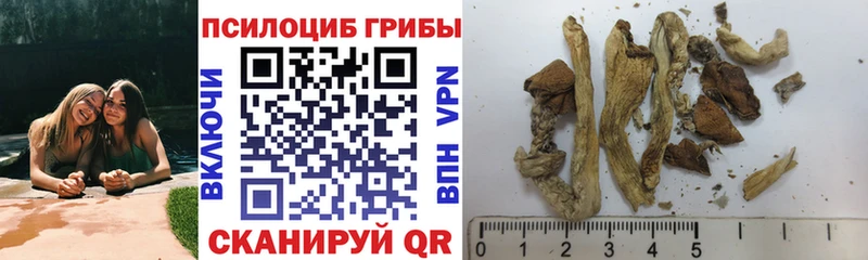OMG ТОР  Десногорск  Галлюциногенные грибы GOLDEN TEACHER  наркотики 
