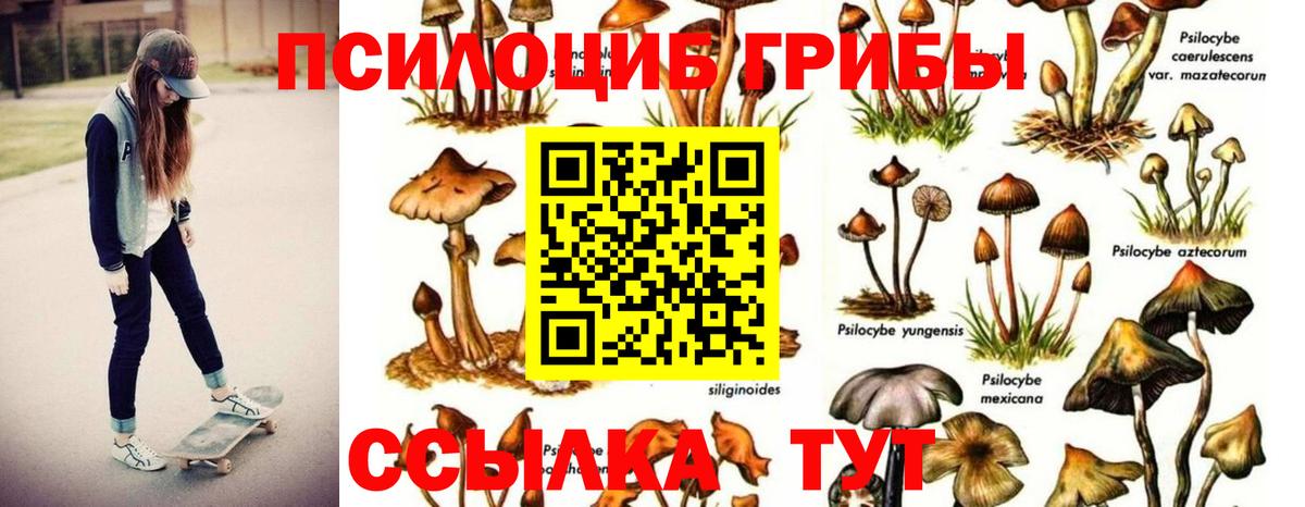 Галлюциногенные грибы мухоморы  Вход с VPN  Десногорск  Галлюциногенные грибы ЛСД 
