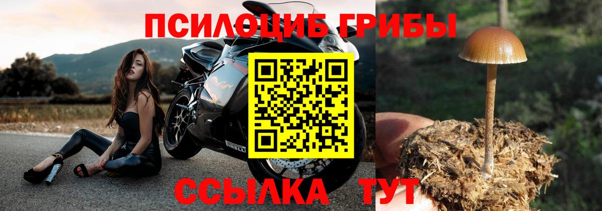 Галлюциногенные грибы GOLDEN TEACHER Десногорск