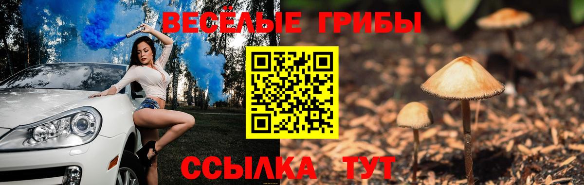 Псилоцибиновые грибы Psilocybine cubensis  Десногорск 